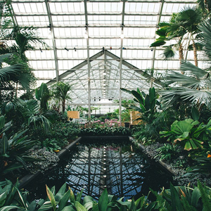 拉拉双女主韩漫
